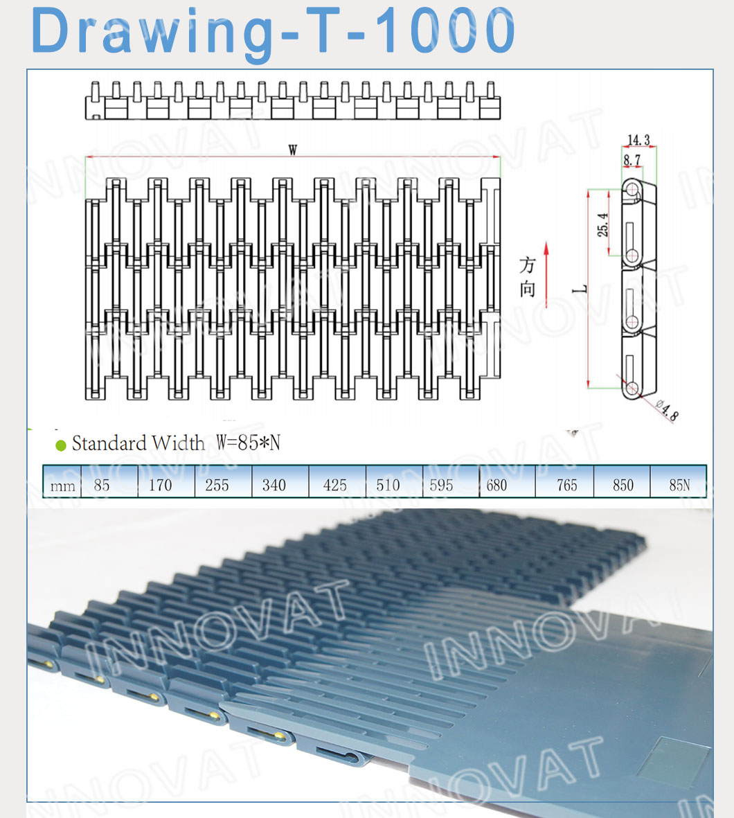 Plastic Mesh Belt