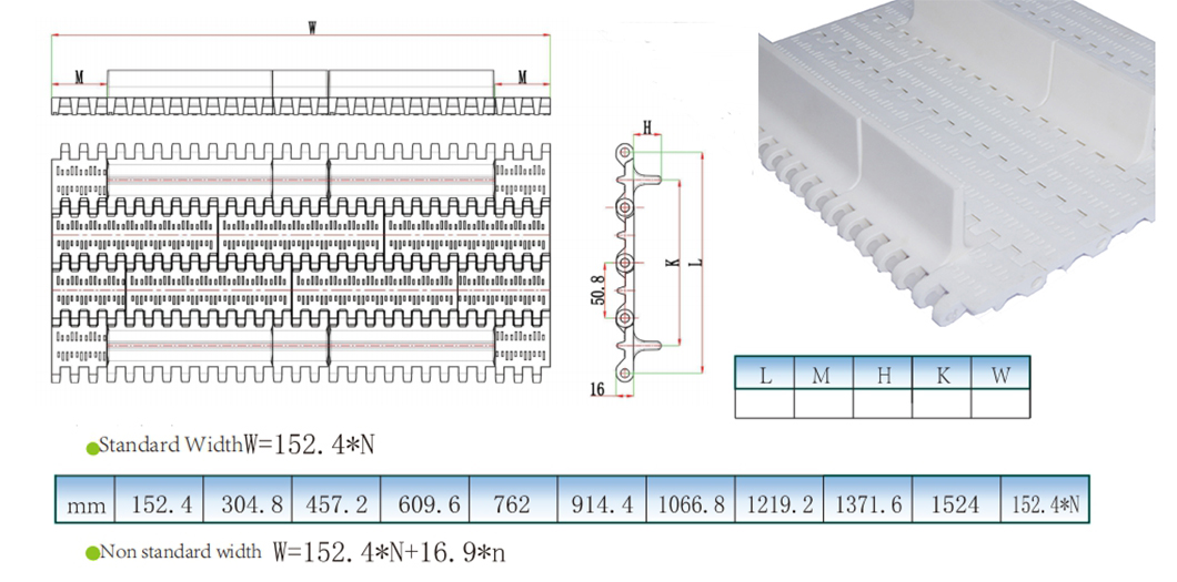 Plastic Mesh Belt