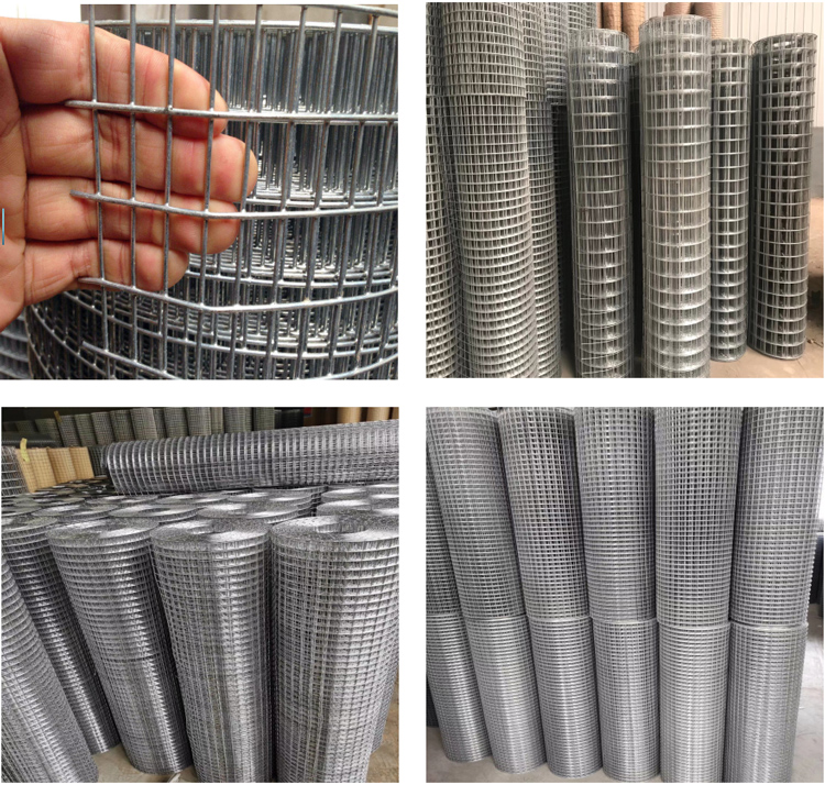 Welded Wire Mesh