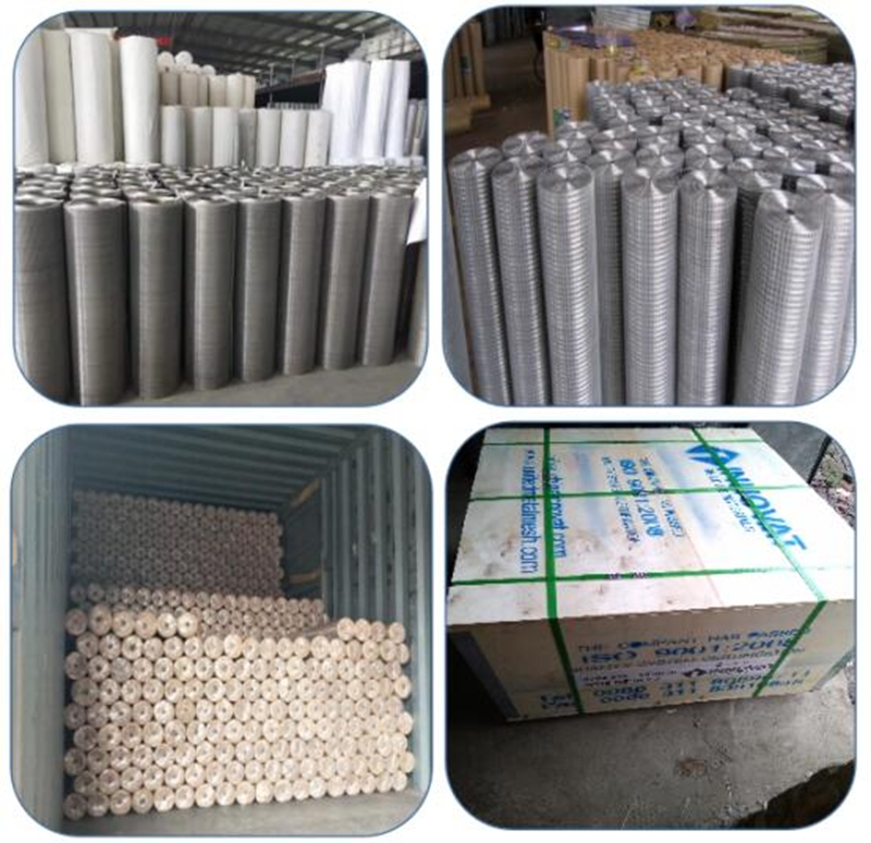 Welded Wire Mesh