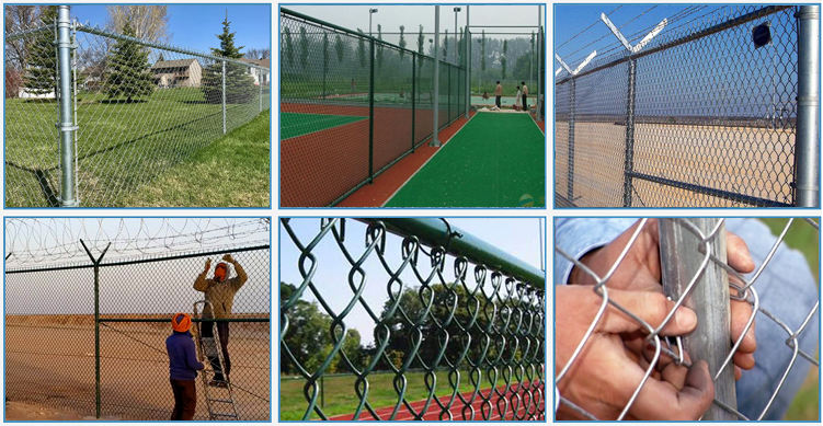 Chain Link Mesh