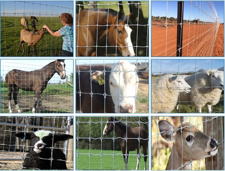 Field Fence