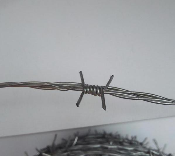 Barbed Wire