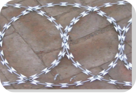 Razor Wire Mesh