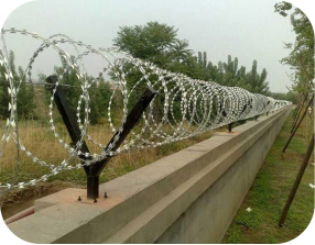 razor wire mesh