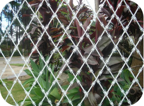 razor wire mesh