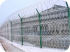 razor wire mesh